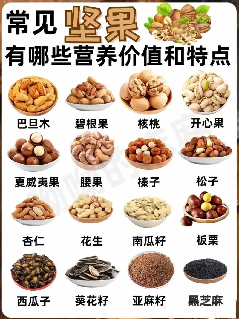 常見堅(jiān)果的營養(yǎng)寶庫 揭秘小小堅(jiān)果的健康密碼
